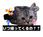 883566083