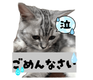 883566084