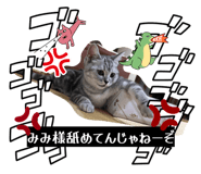883566088
