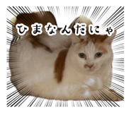 883566099