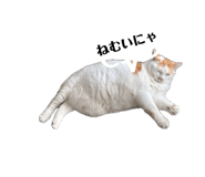 883566104