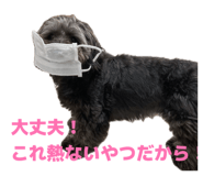 883566285
