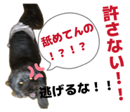 883566286