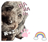 883566288
