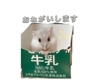883567587