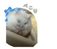 883567588