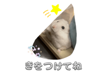 883567593