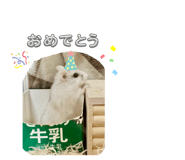 883567597