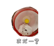 883567602