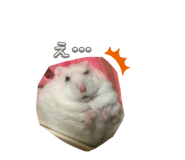 883567611