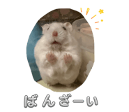 883567612