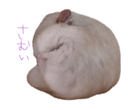 883567845