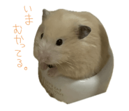 883567854