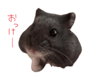 883567868