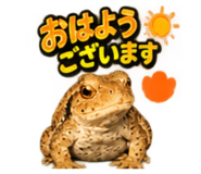 883567985