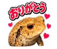 883567989