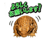 883567990