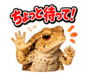 883567994