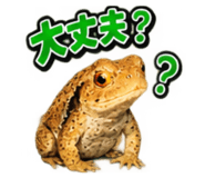 883567995