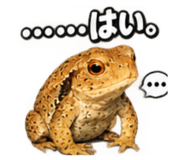 883568006
