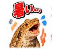 883568010