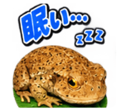 883568012