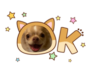 883568522