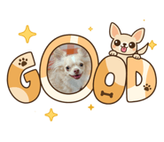 883568524