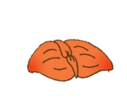 883569537