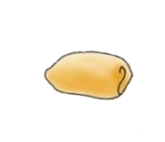 883569541