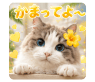 883572355