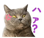 883574244