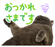 883574246