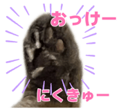 883574248