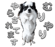 883574284
