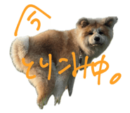 883574366