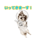883575017
