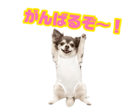 883575018