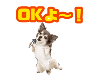 883575020