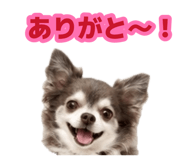 883575021