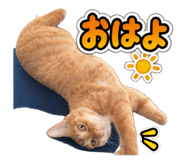 883576625