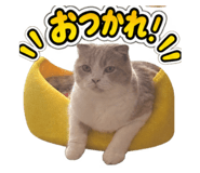 883576630