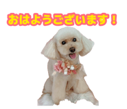 883580113