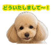 883580118