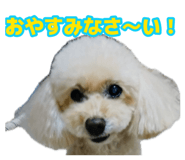 883580119