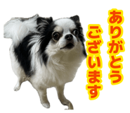 883583521