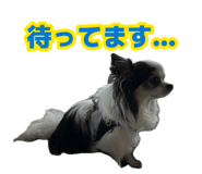 883583525