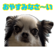 883583527