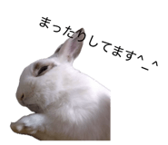 883586667
