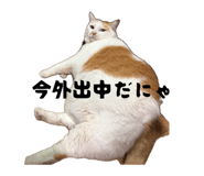 883587354
